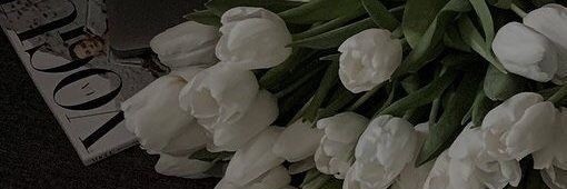 checowdc's profile banner image