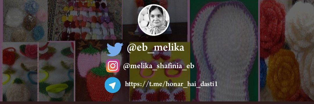 Melika_Shafinia_eb banner
