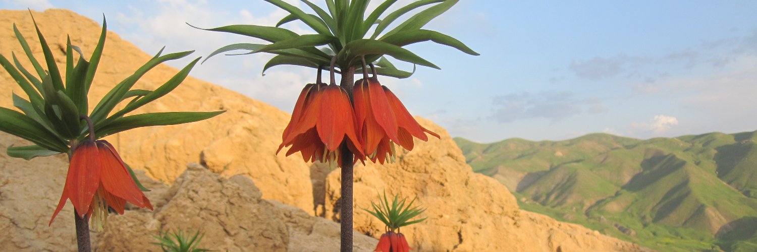 manizerdesht's profile banner image