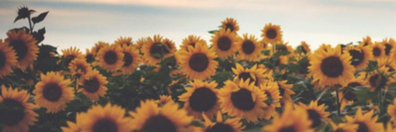 emijamar's profile banner image