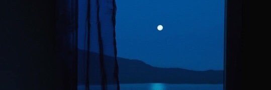 q 🌊 banner