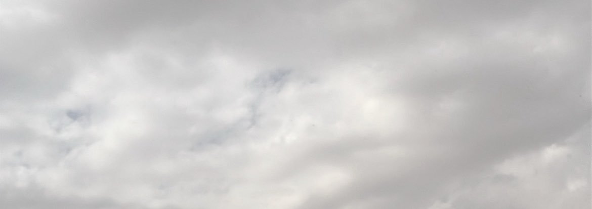 نينو banner