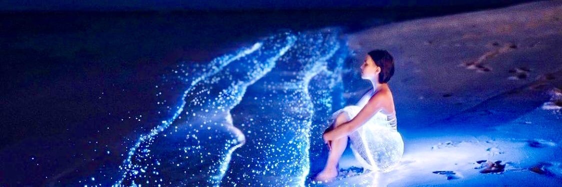 Claudia K 🦋 banner
