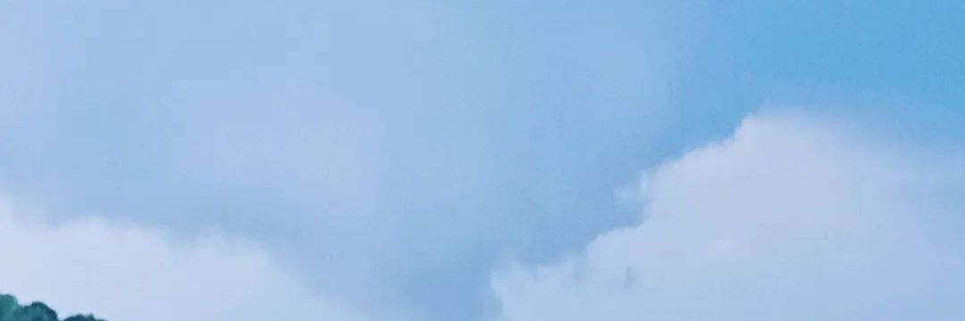 TNpalms70's profile banner image