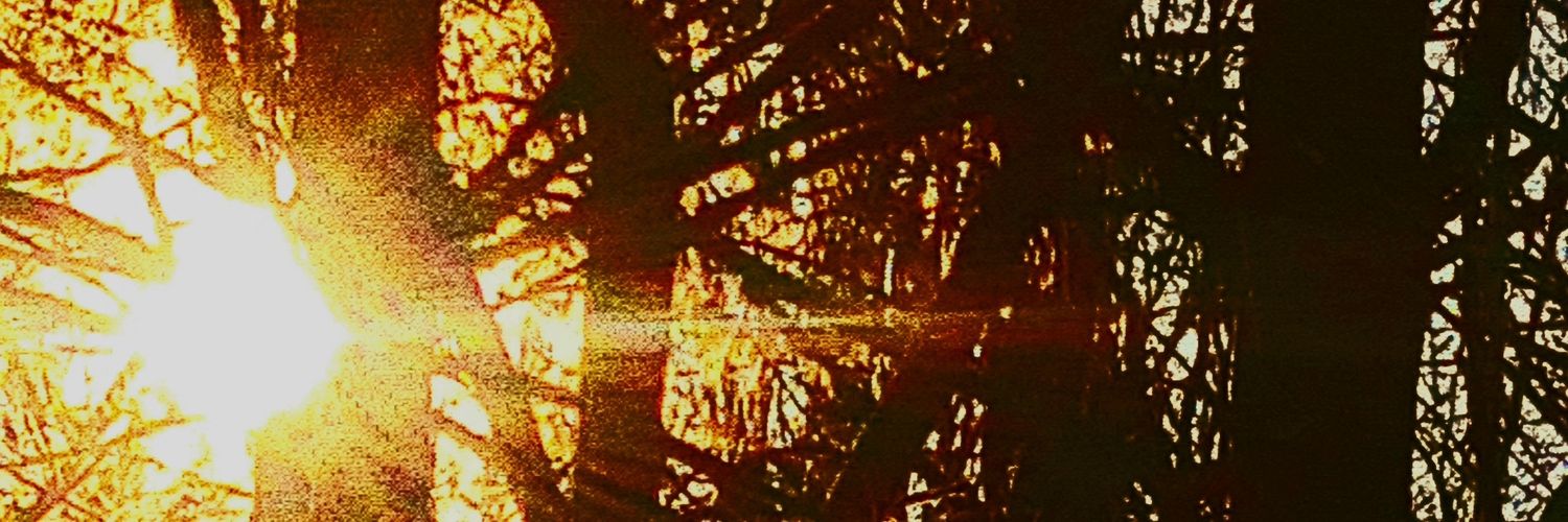 Victoria B. 🇺🇸💪✌️❤️ banner