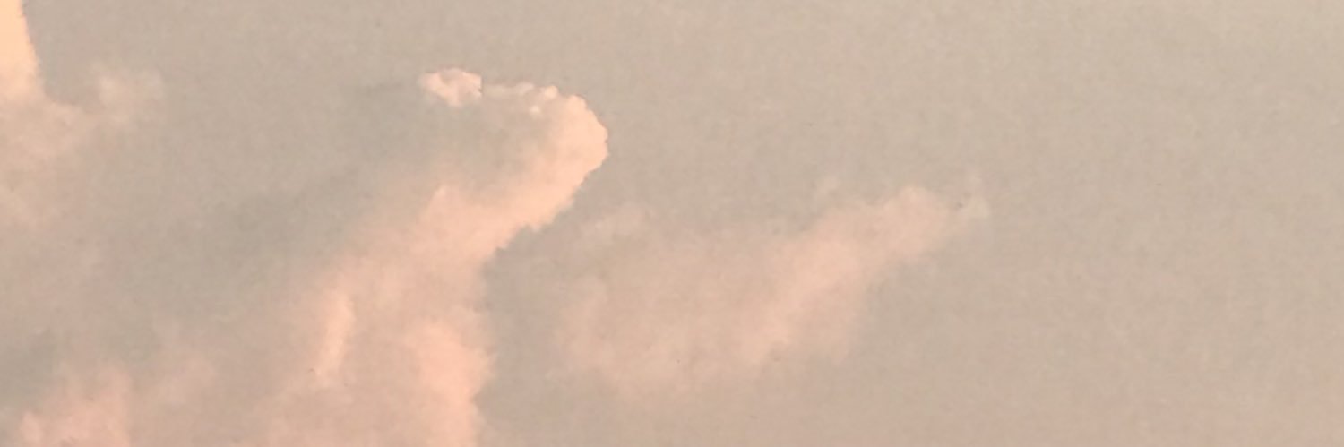 タピオカ's banner