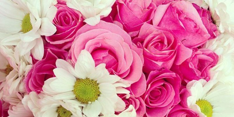 nashaaau's profile banner image