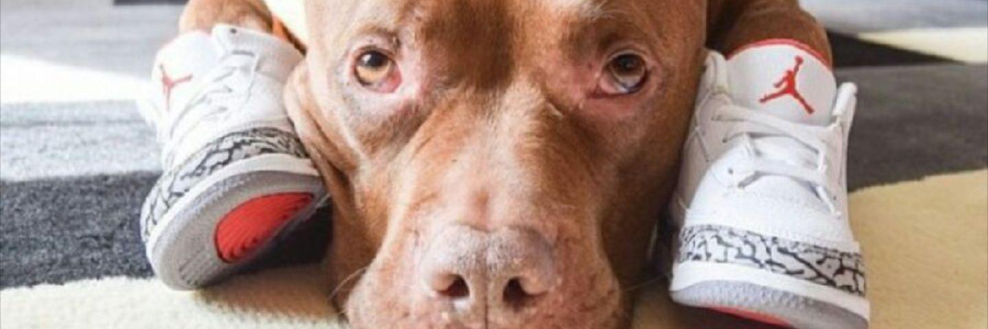 chakzilla's profile banner image