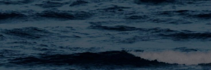 𝑭𝐈𝐍𝐍𝐈𝐂𝐊 ˖ banner