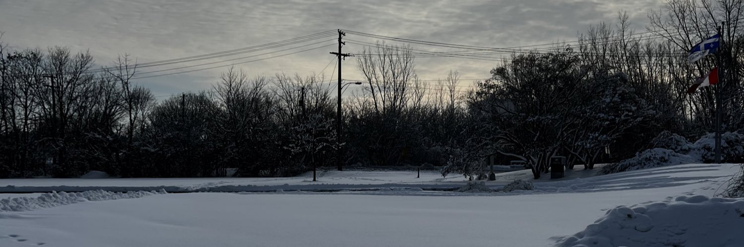 _MrScaille_'s profile banner image