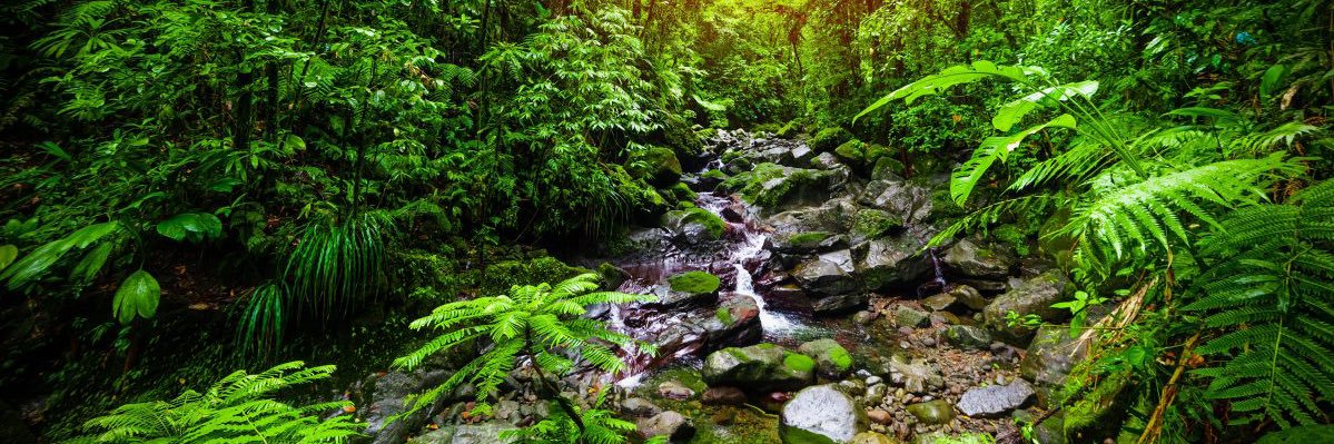 🇺🇦 💙 banner