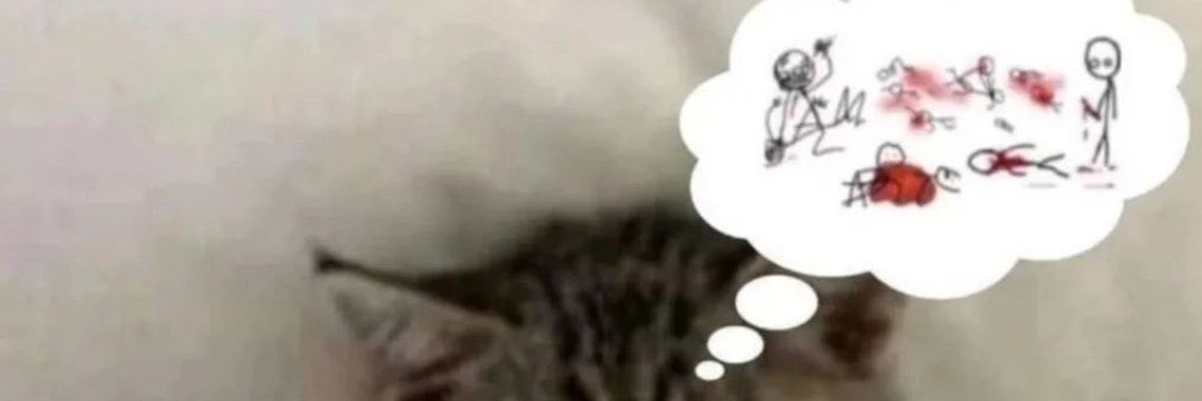 michoota's profile banner image