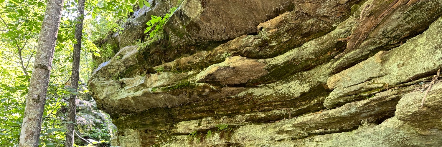 Have you seen the truth? banner