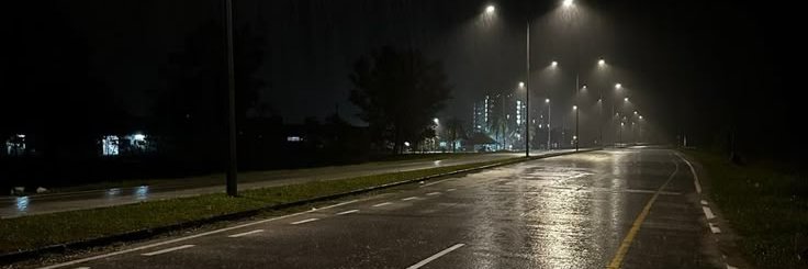 L's banner