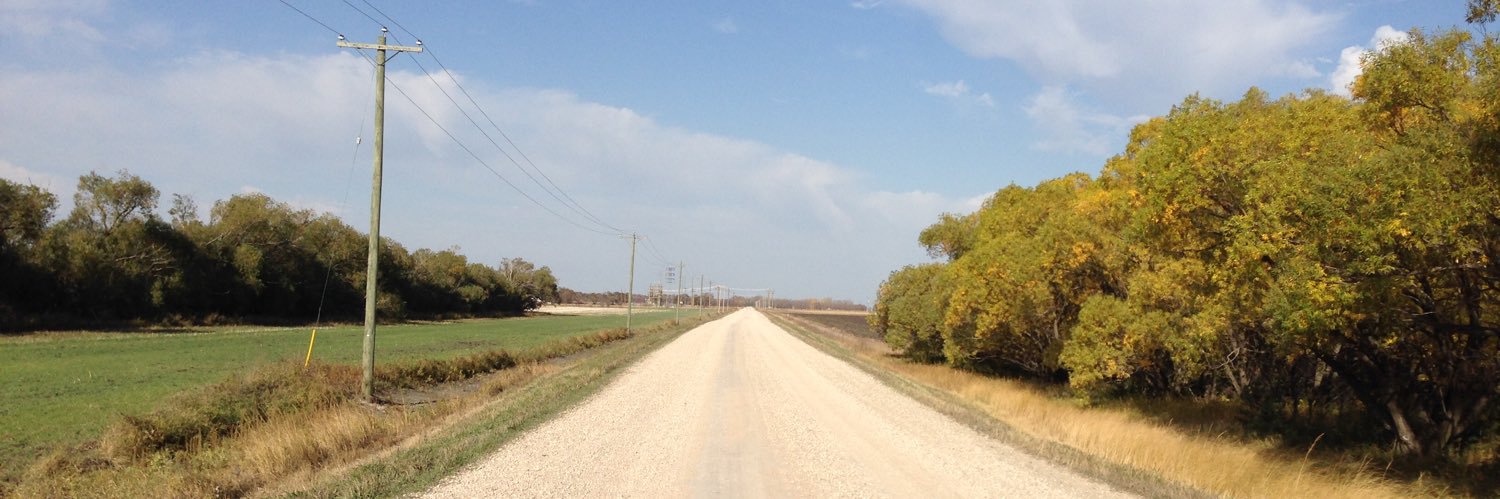 Dawna Friesen banner