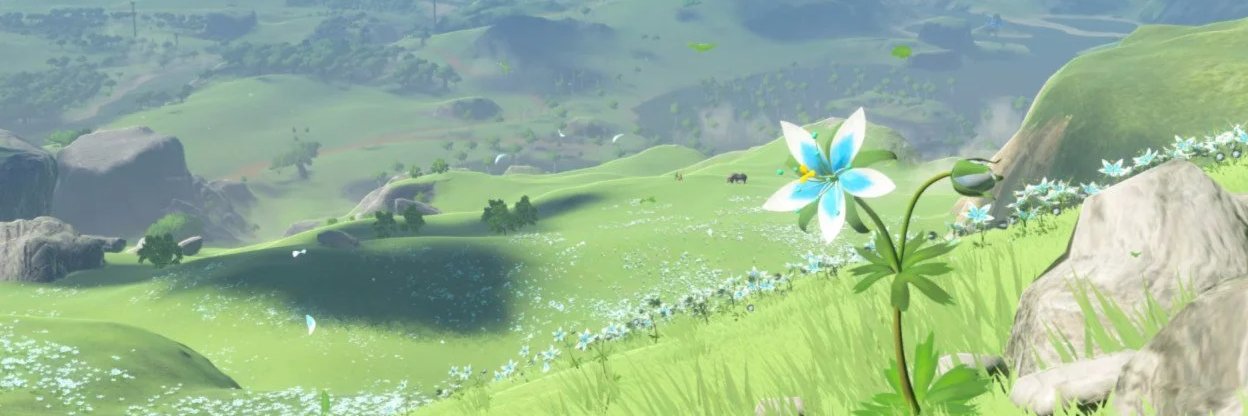 𝙻𝚒𝚗𝚔 banner