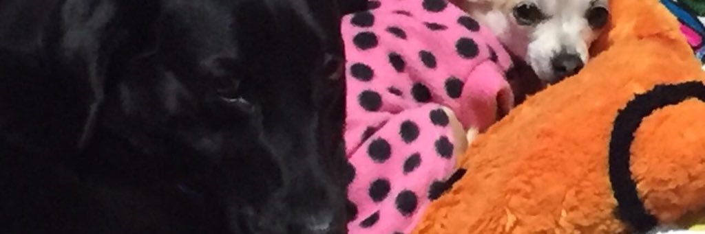 bramer10's profile banner image