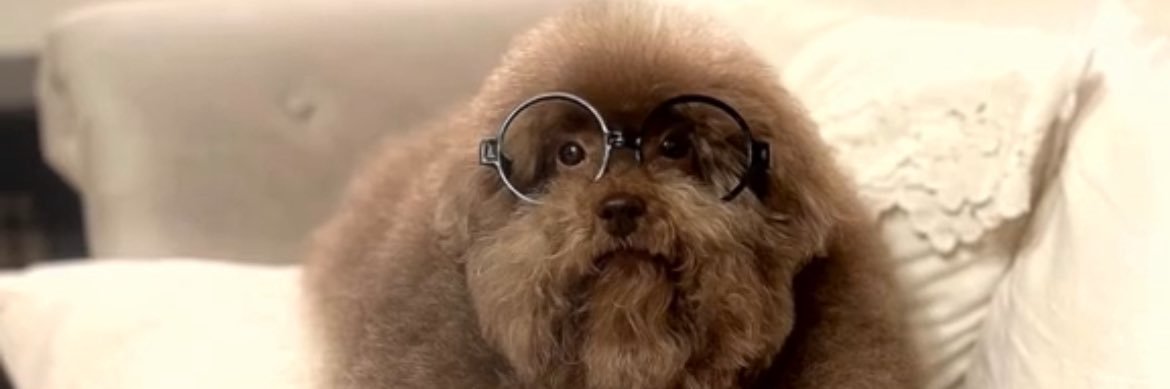 Not La Valette banner