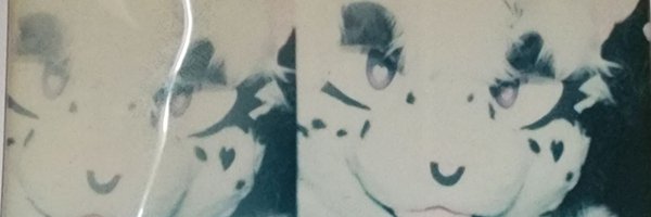 ElleyAfterMeow Profile Banner