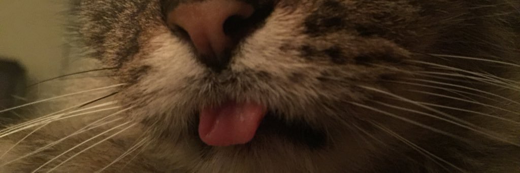 kelliboo's profile banner image