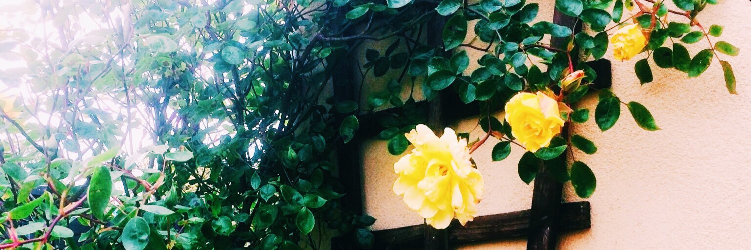 lucyjoynt's profile banner image