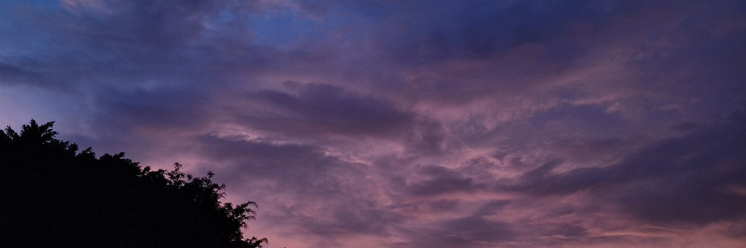 𝒔𝒖𝒍𝒚𝒚𝒔 🌙 banner