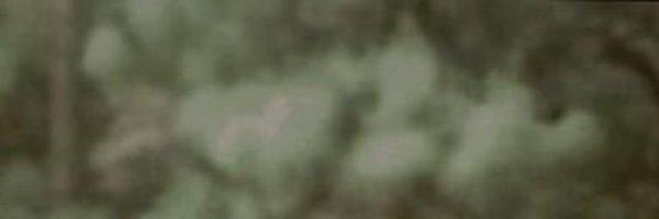 ss__095 Profile Banner
