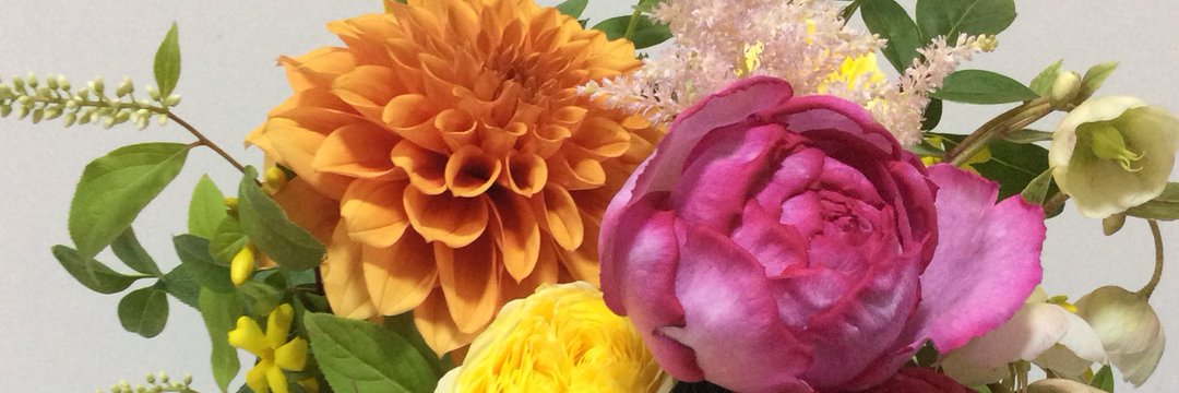 FlowerFairy5683's profile banner image