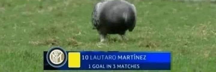 INTER THE LMAO ⭐⭐ banner