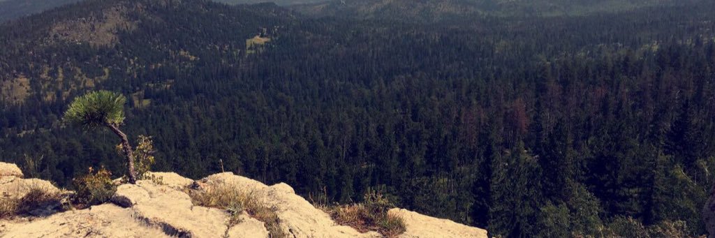 BREEvBREE's profile banner image