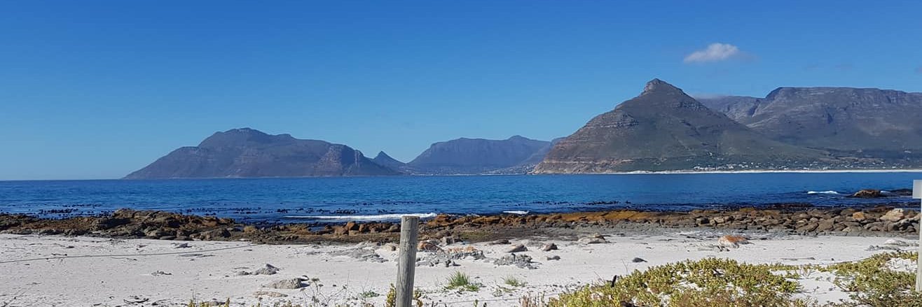 Daya Coetzee banner