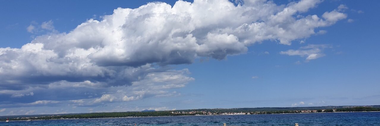 Jovan Lalošević banner