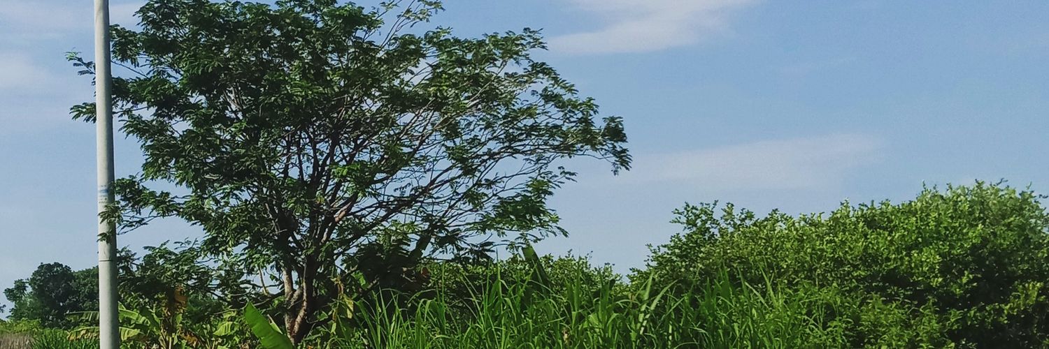 hellodhif's profile banner image