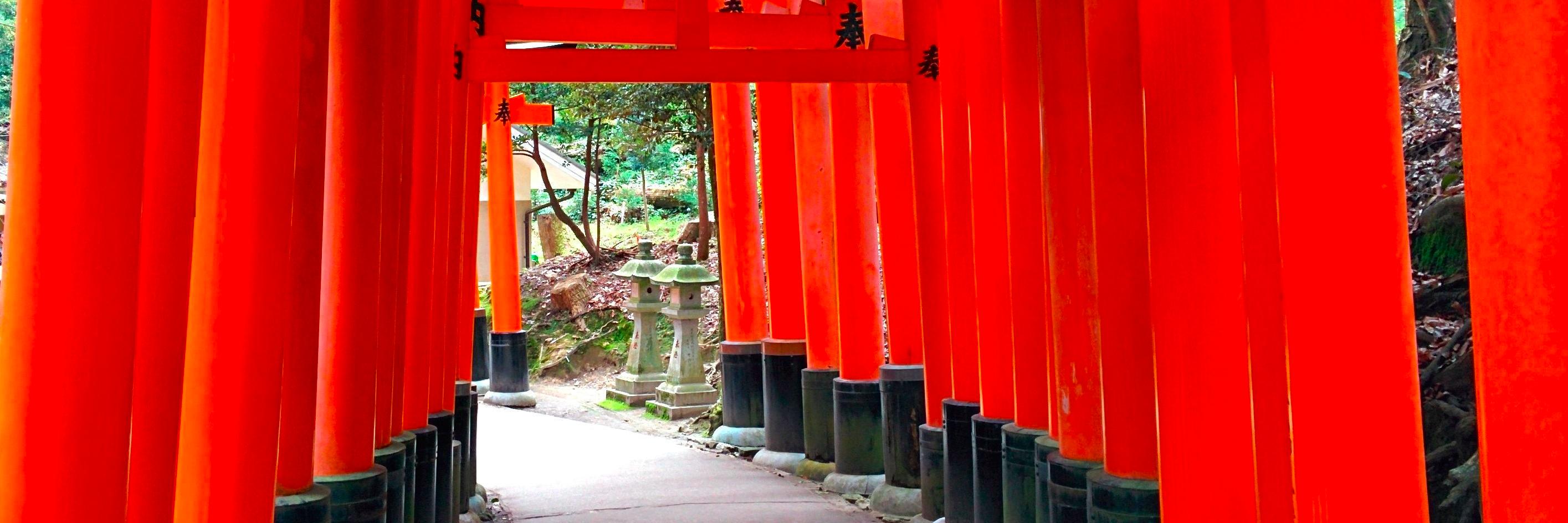 Tomas Laboutka banner