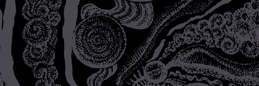 KanryO banner