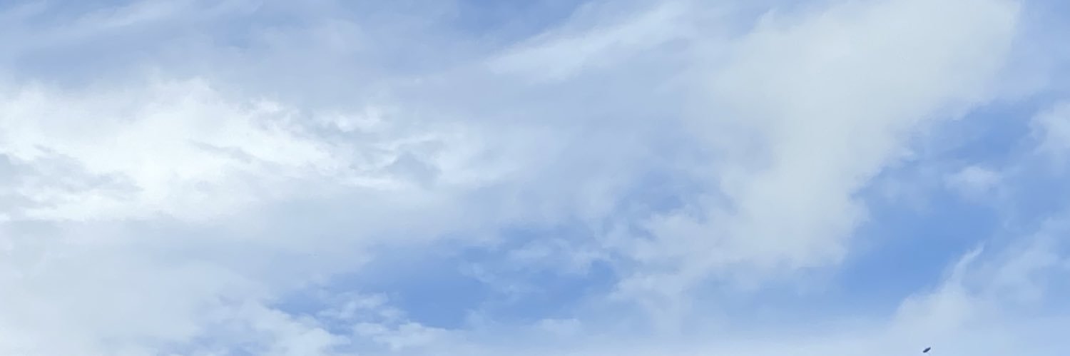 Rodolfo Toncel banner