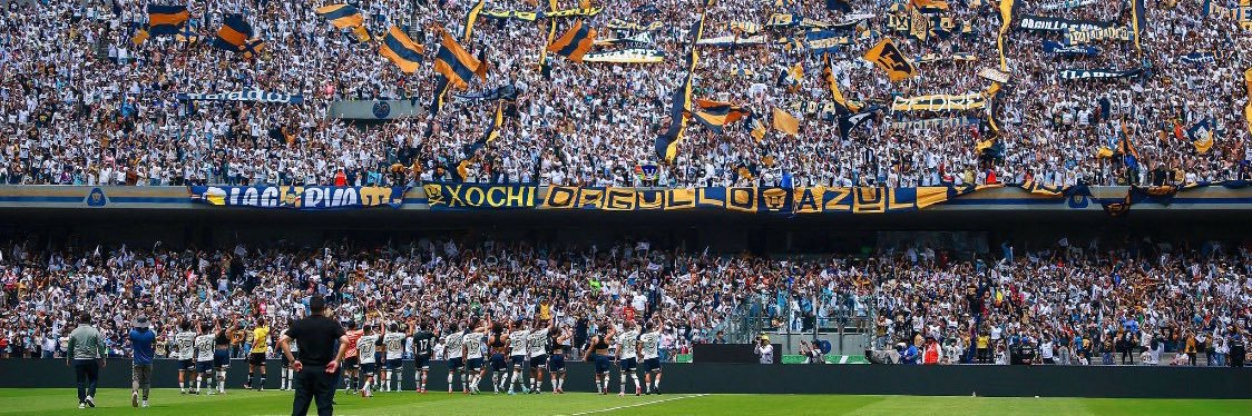 santo banner