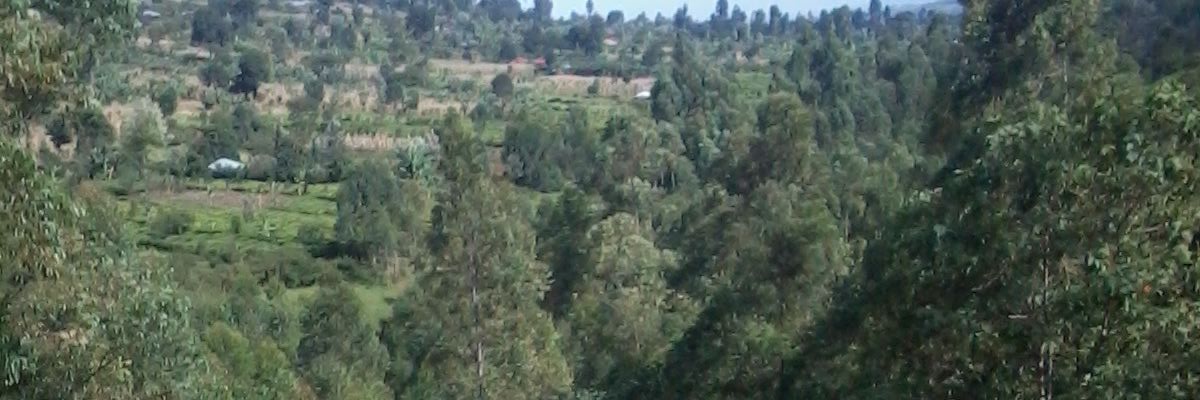 Smarttatai's profile banner image