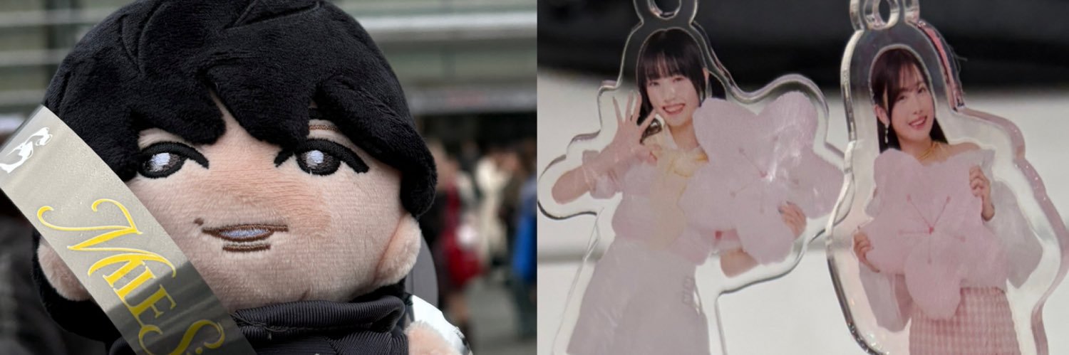 菊 banner