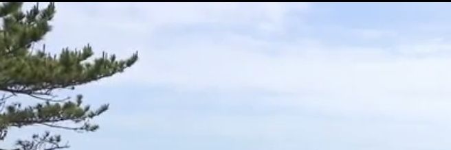 nikipurun's profile banner image