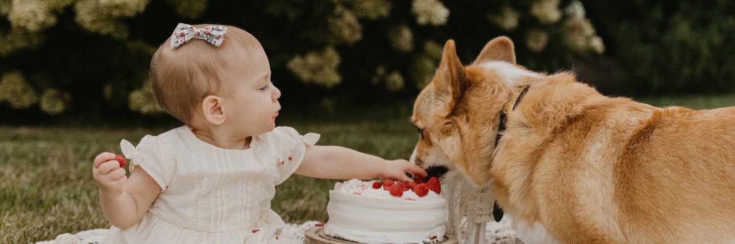 Alexa Hogestyn, EdD banner