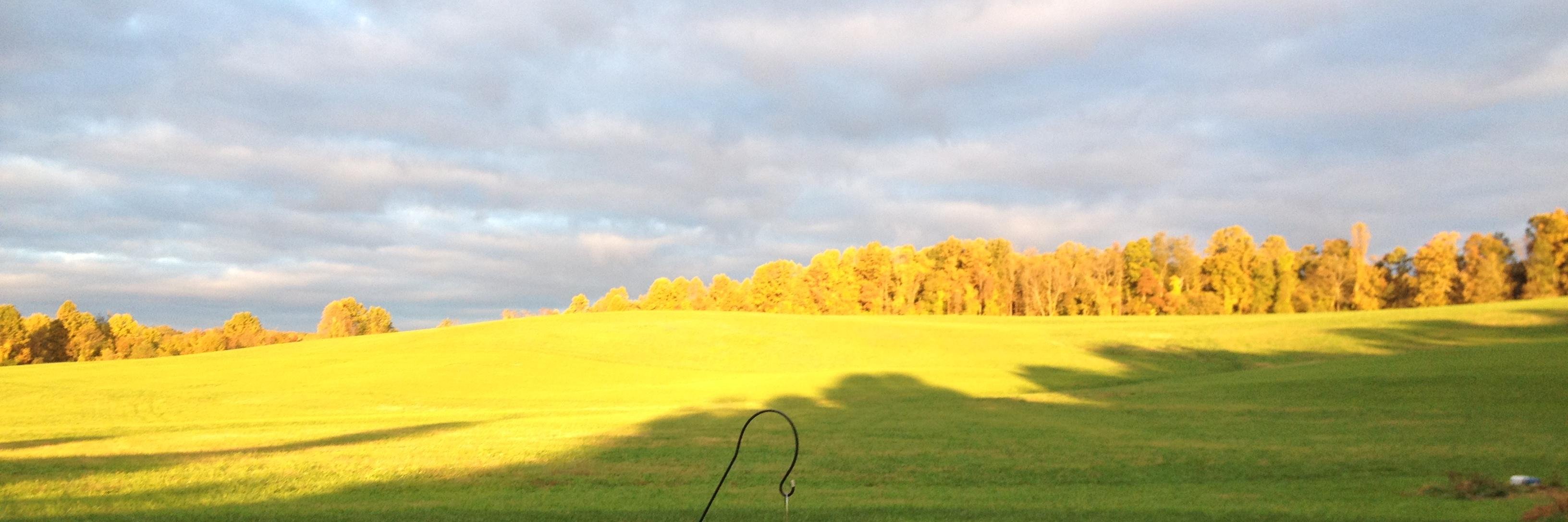 Orebanks's profile banner image