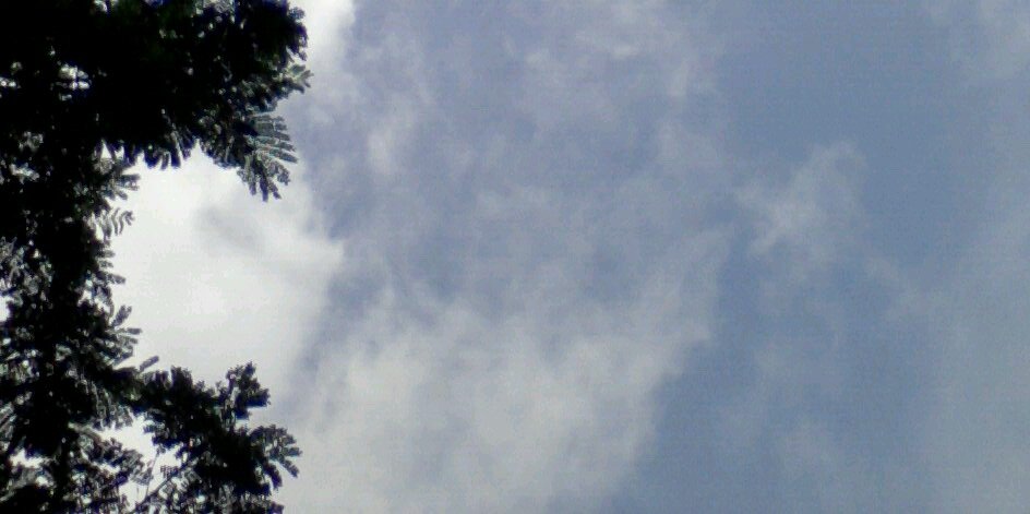 nitin नितिन banner