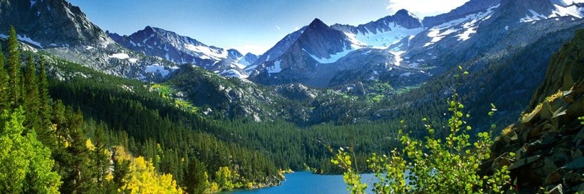 Nature Vibes's banner