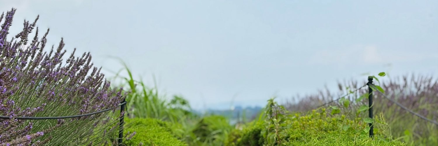 idoitguab's profile banner image