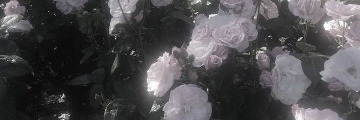 mel banner