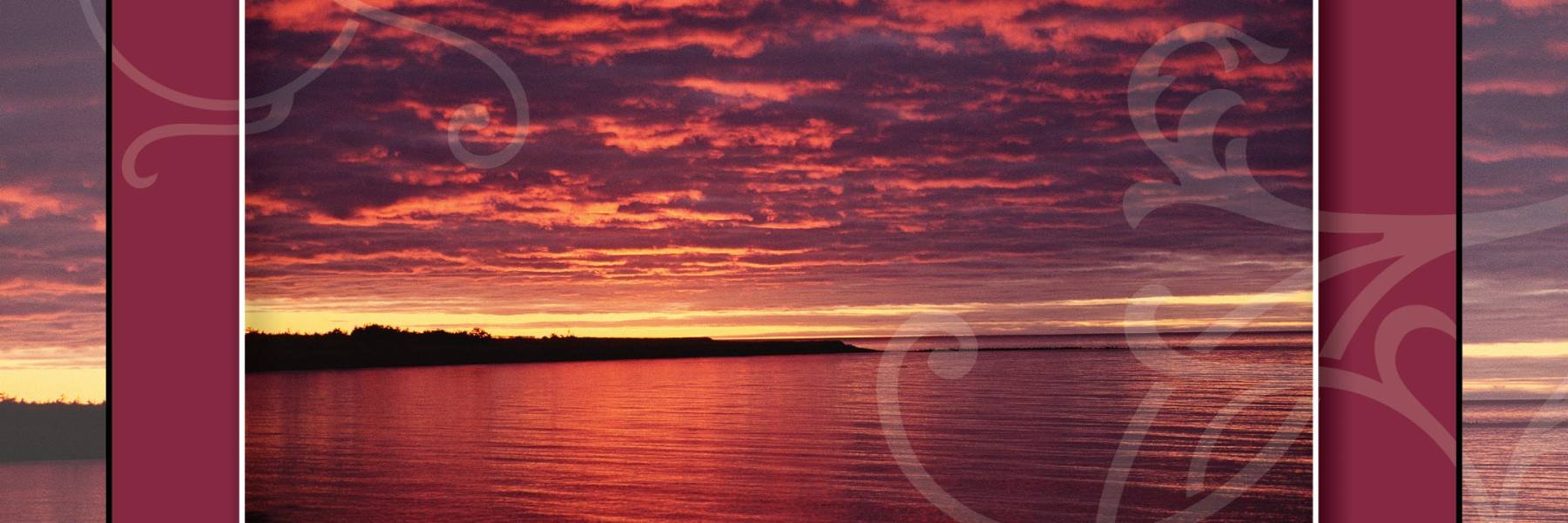 SnapShotCards's profile banner image