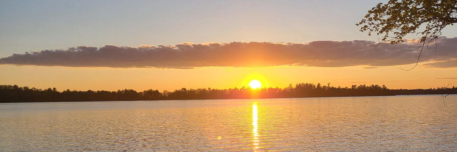 Donavon Noggle banner