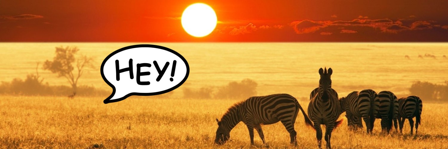 RegularZebra's profile banner image