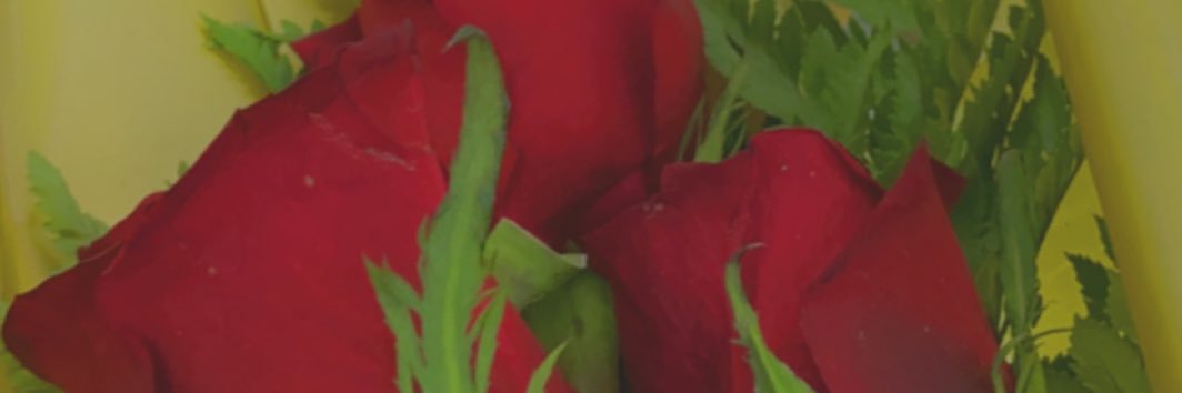 emoo665's profile banner image
